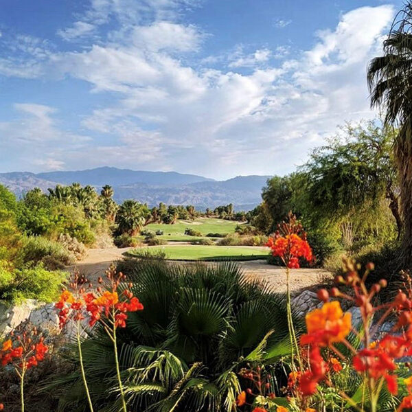 Desert Willow Golf Resort (California)